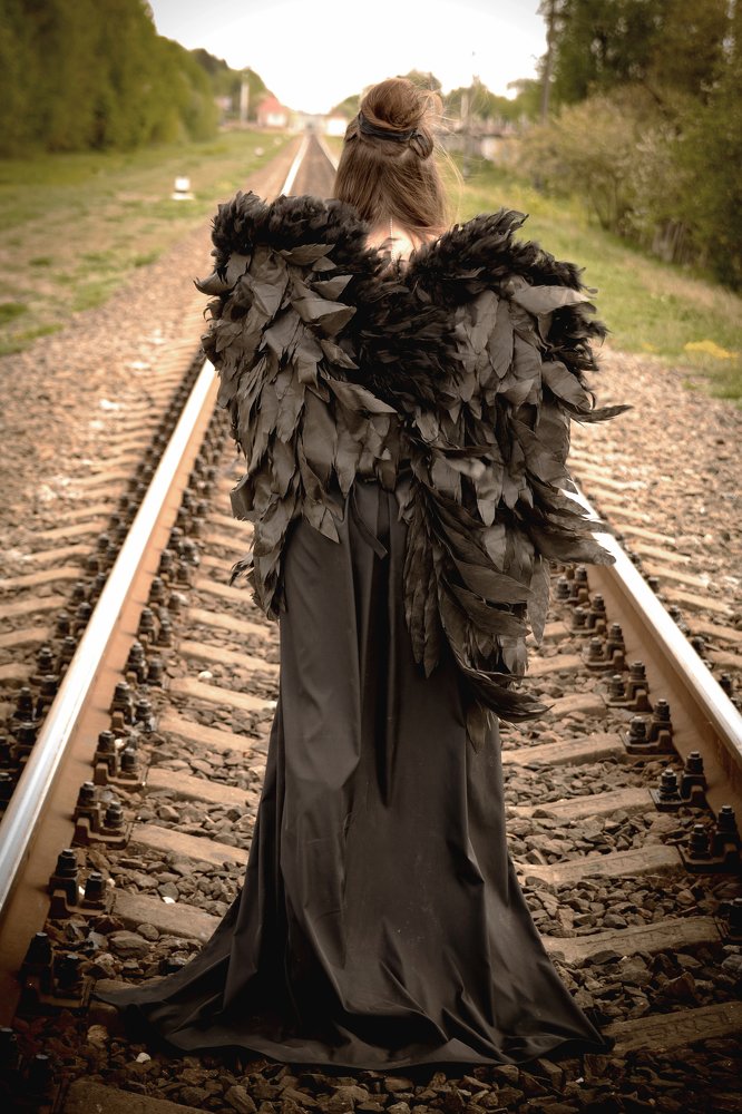 Фотография автора Дмитрий Васильев