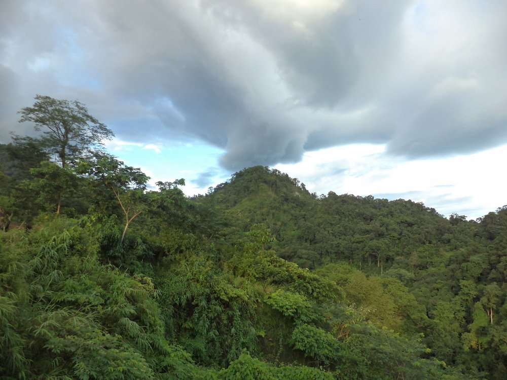 Nature