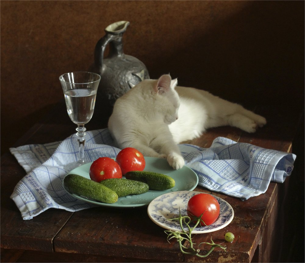 Натюрморт с кошкой Машей.