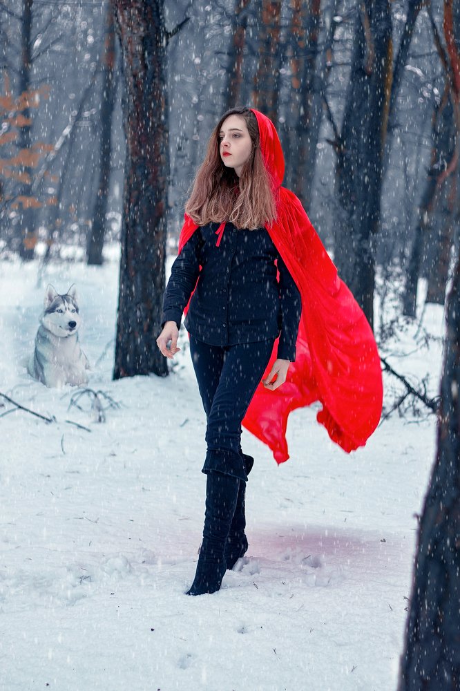 Фотография автора Дмитрий Васильев