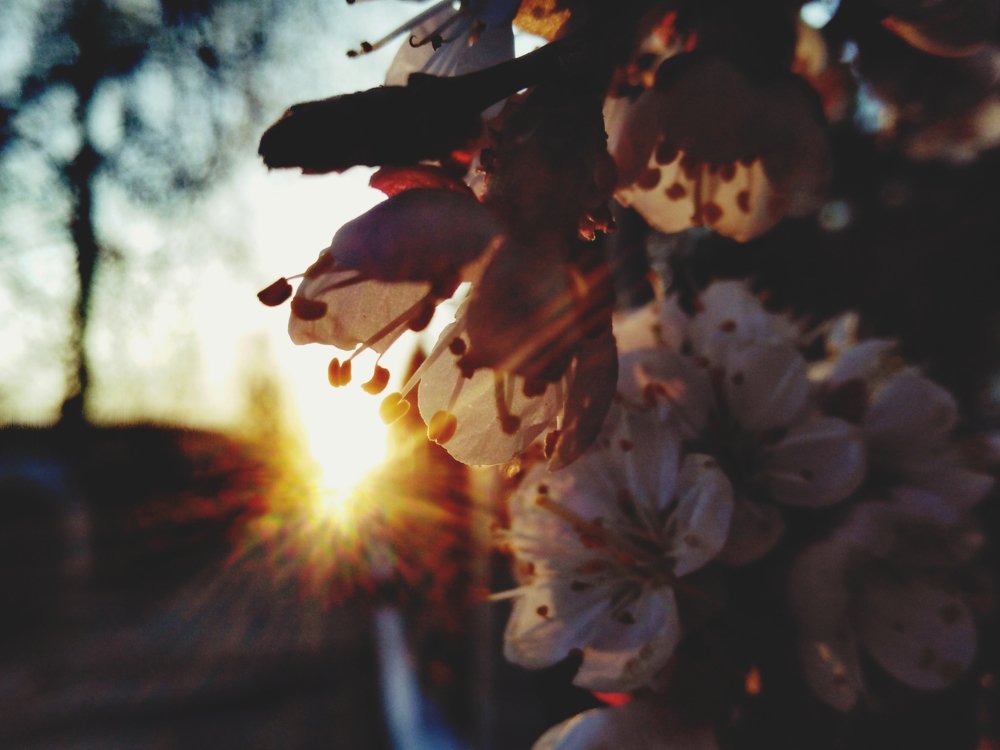 Фотография автора Арканникова Настя