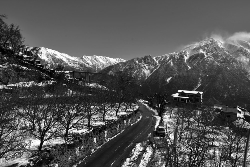 Black and white landscape