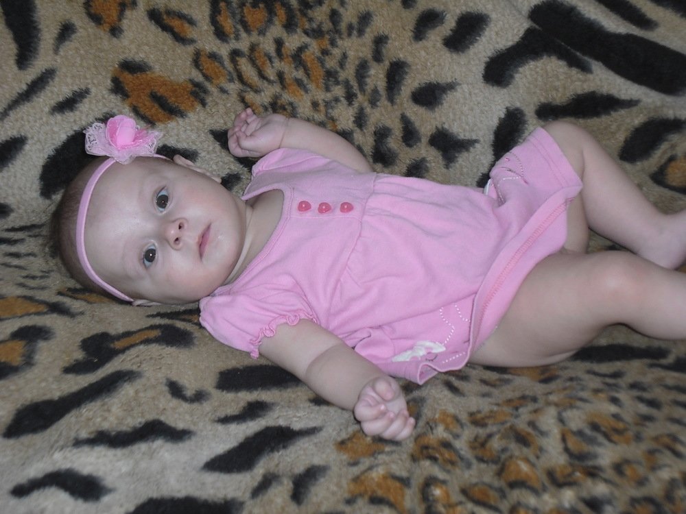 Photo #3249185