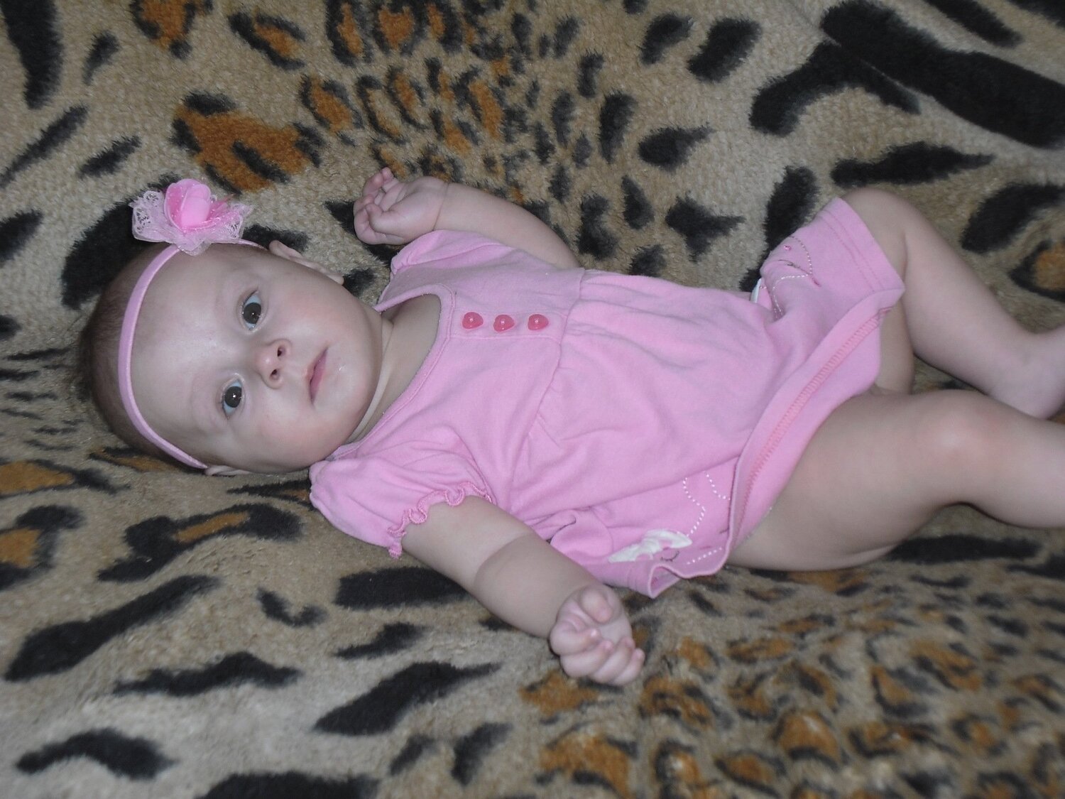 Photo #3249185
