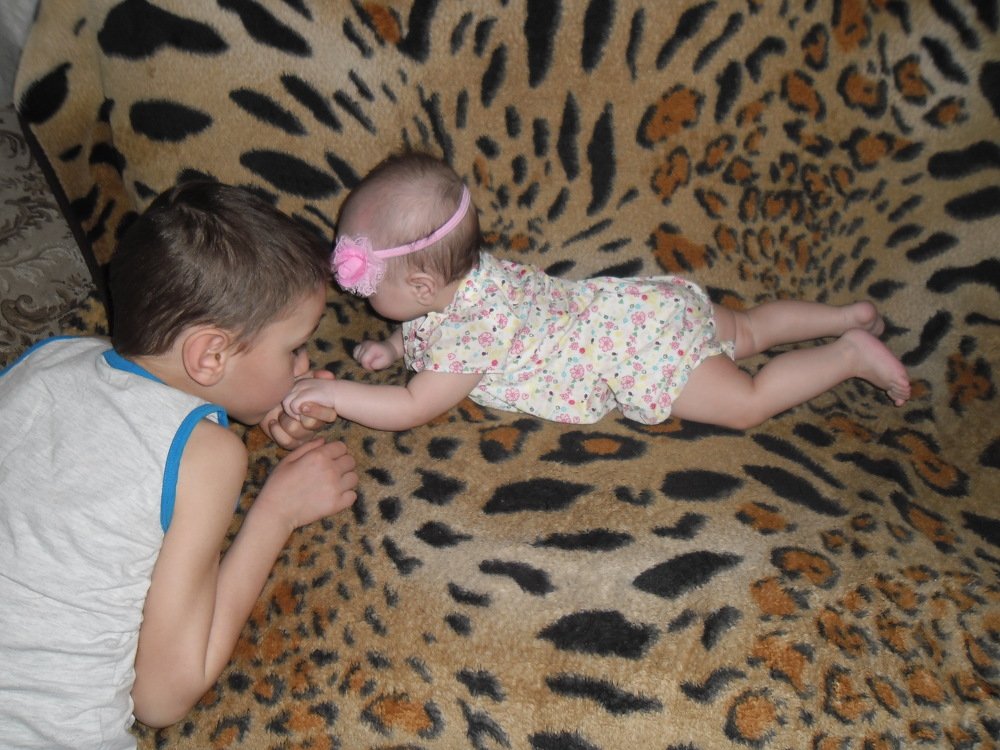 Photo #3249191