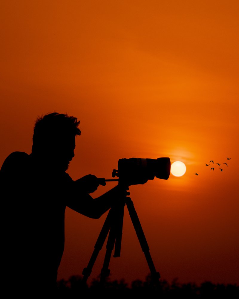 Beauty Of The Golden Light