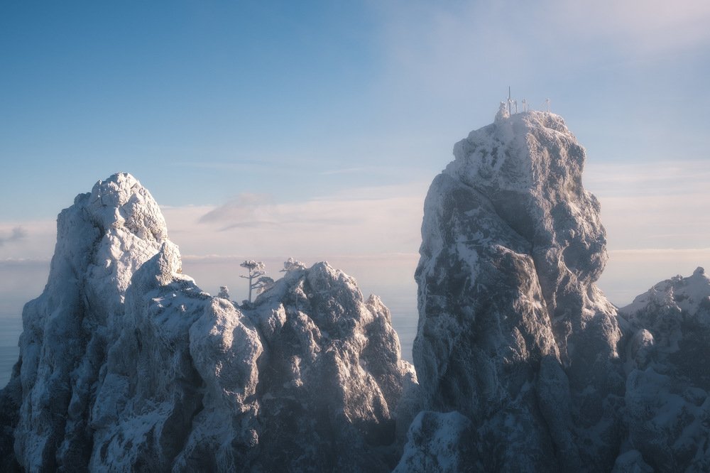 Молочные зубцы