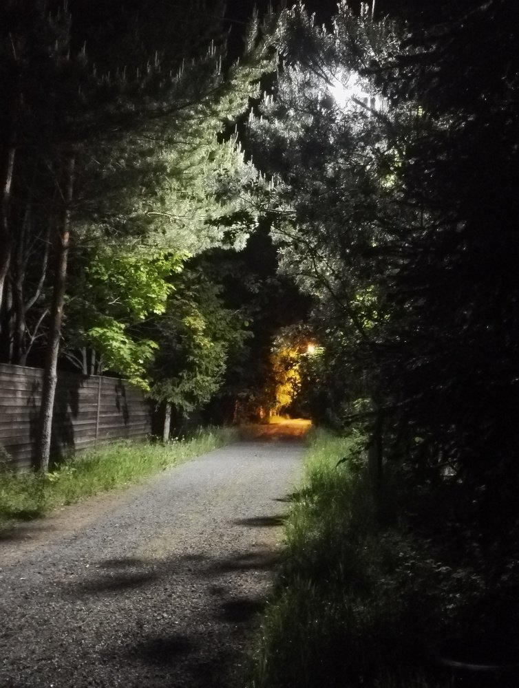 Дорога ночью.