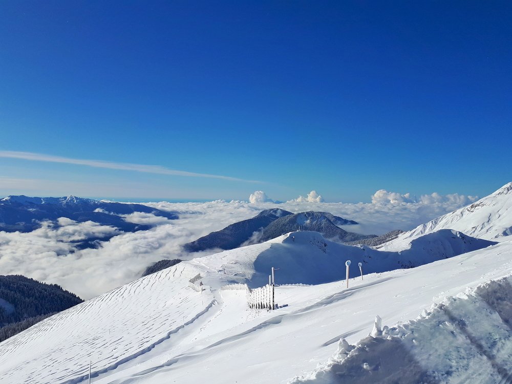 Photograph by Роман Сычев