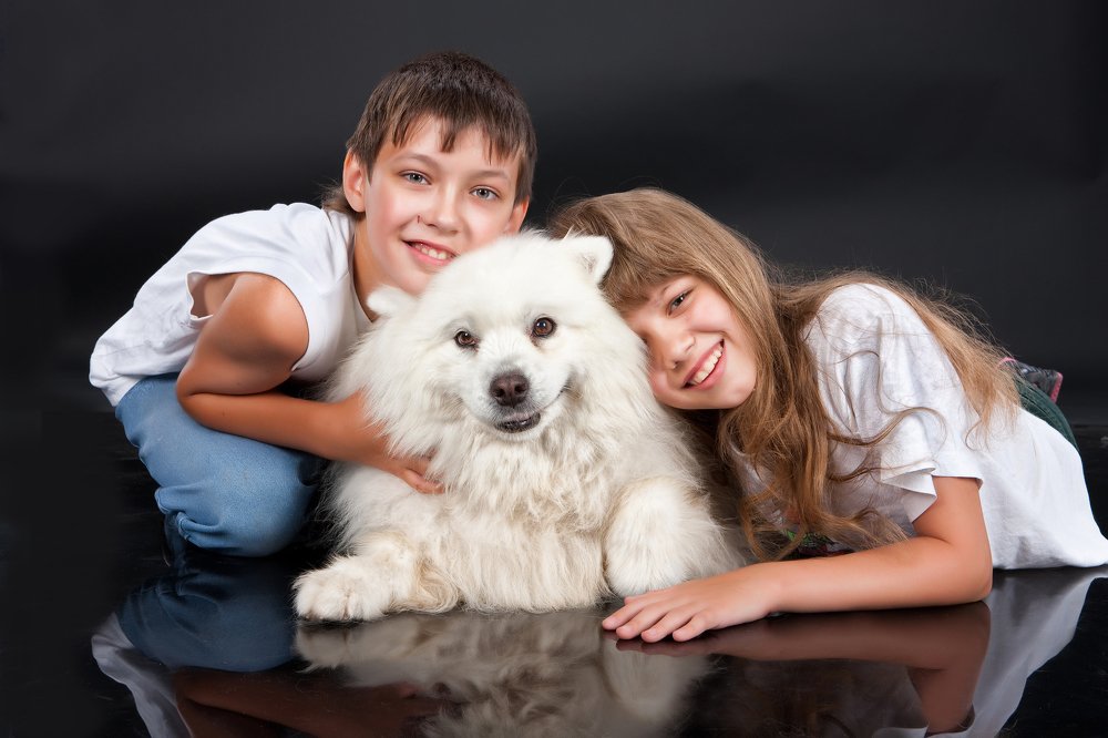 Sister And Brother With Samoyed