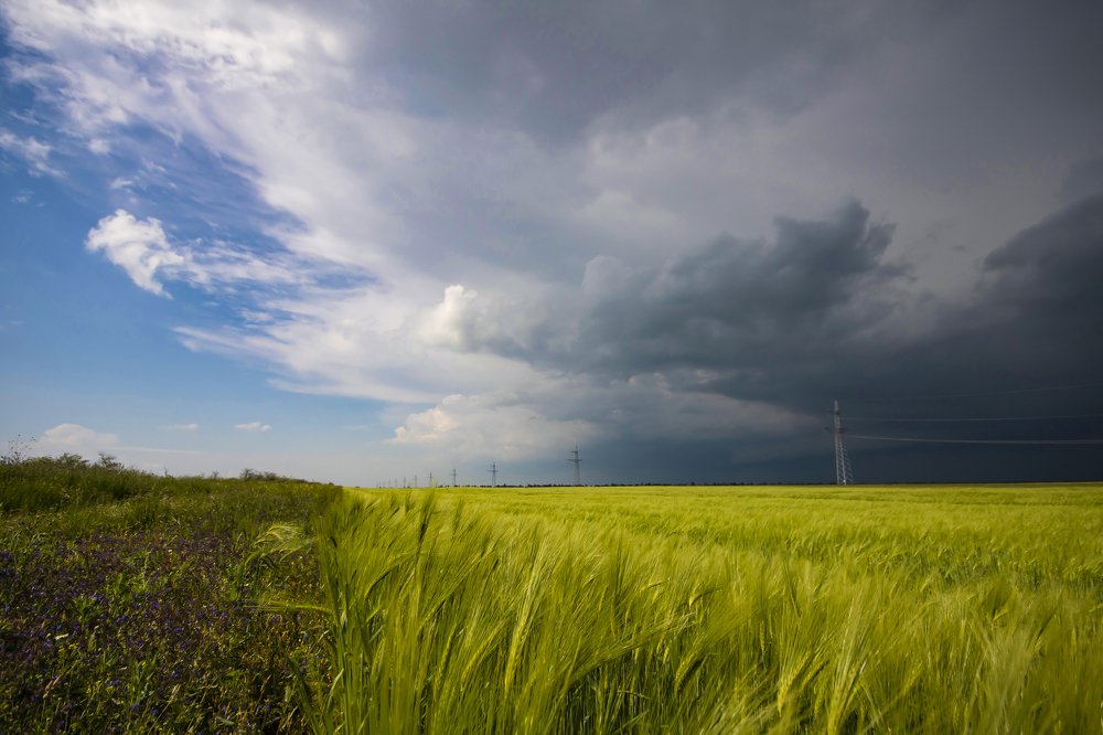 Перед дождем.