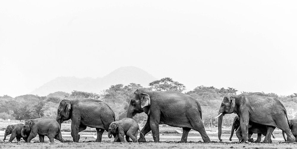 These Are The Moments I Live For