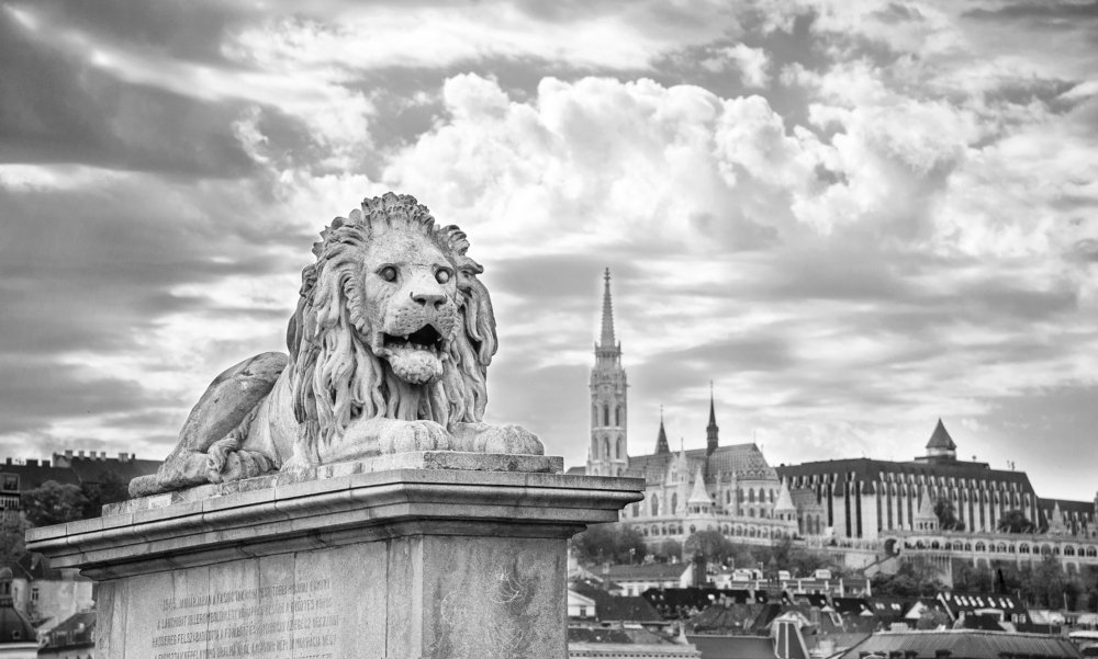 Сторожевой