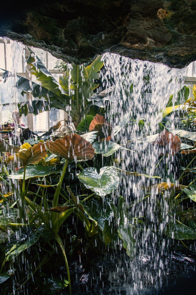 Photograph by Raivo Kremer