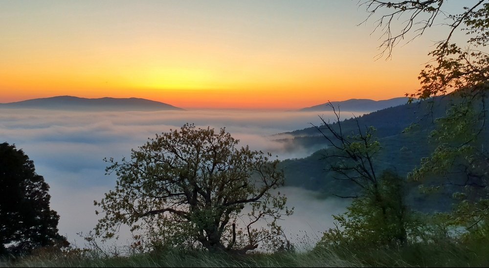 Таинственность