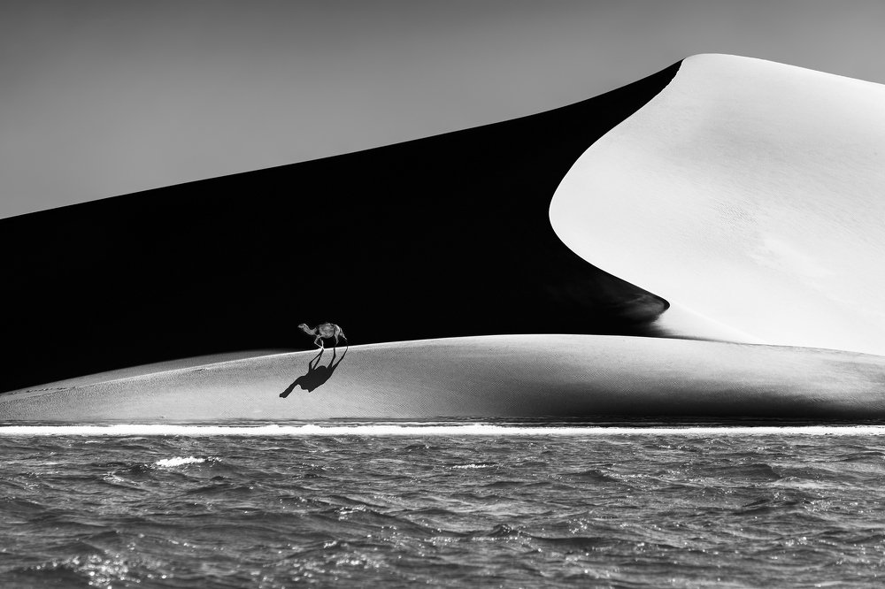 Facing the sea and the desert