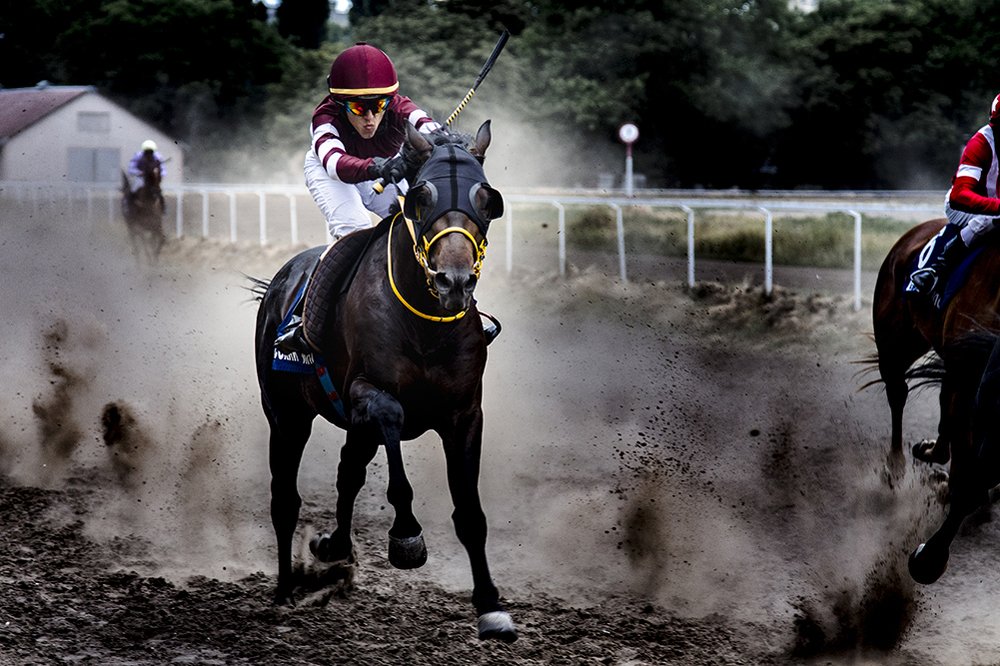 Несущие ветер