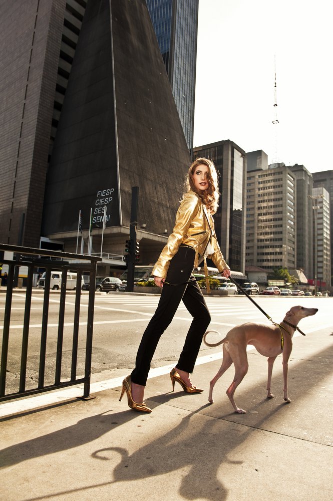 Girl with her greyhound