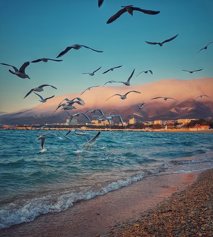 Морской закат