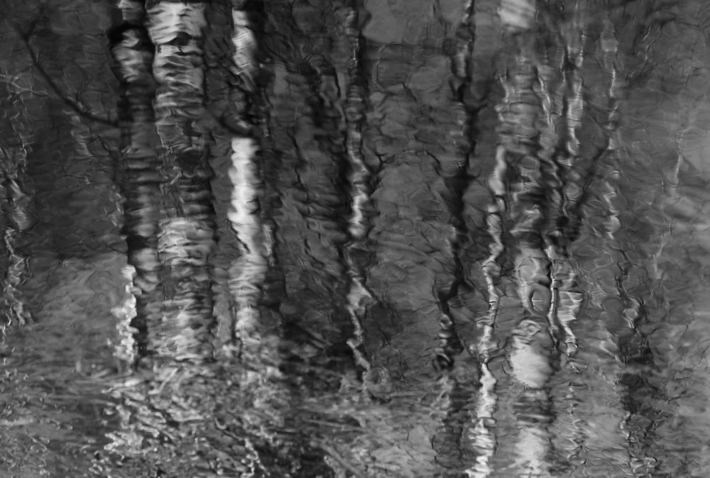 зеркало весны