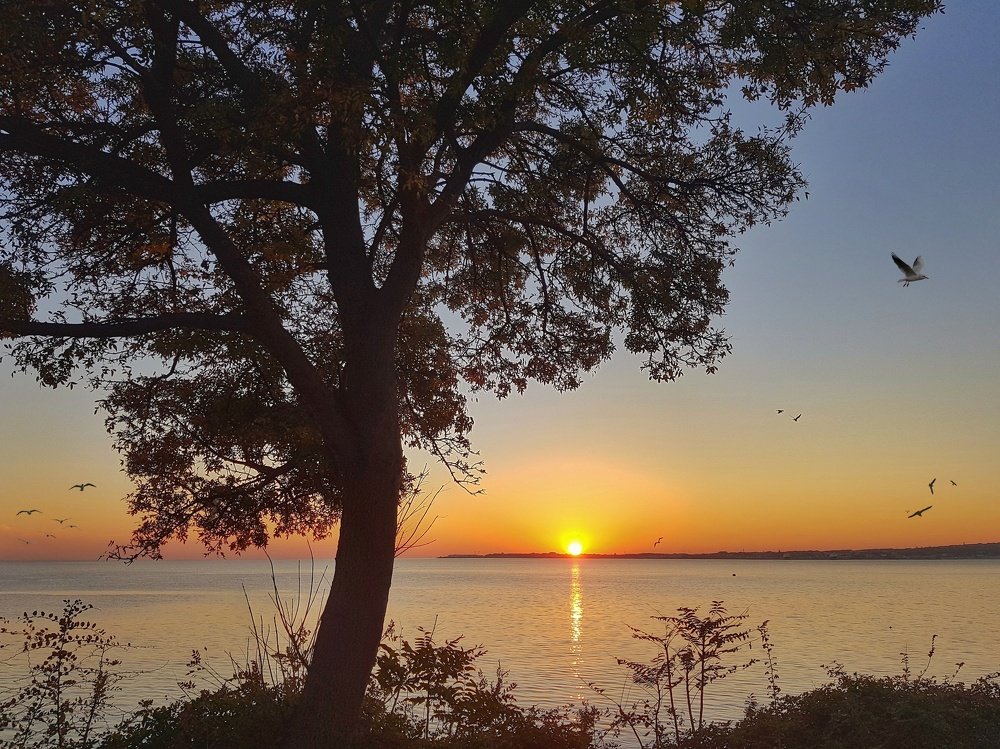 Морской закат