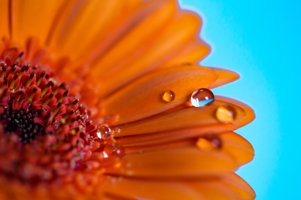 Photograph by Сергей Романченко