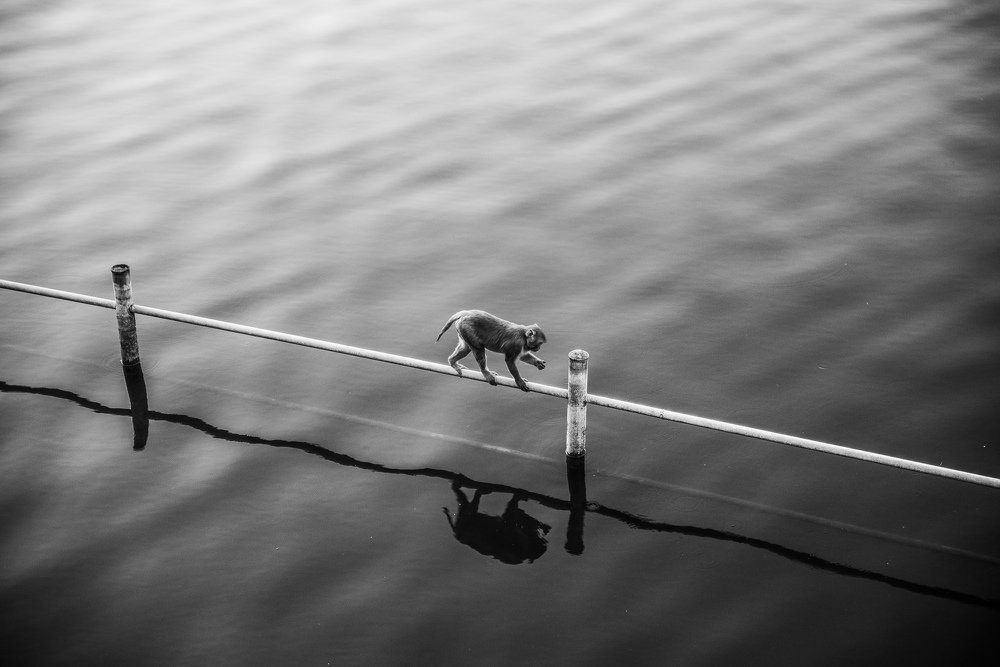 Photograph by Aleksei Kurlov