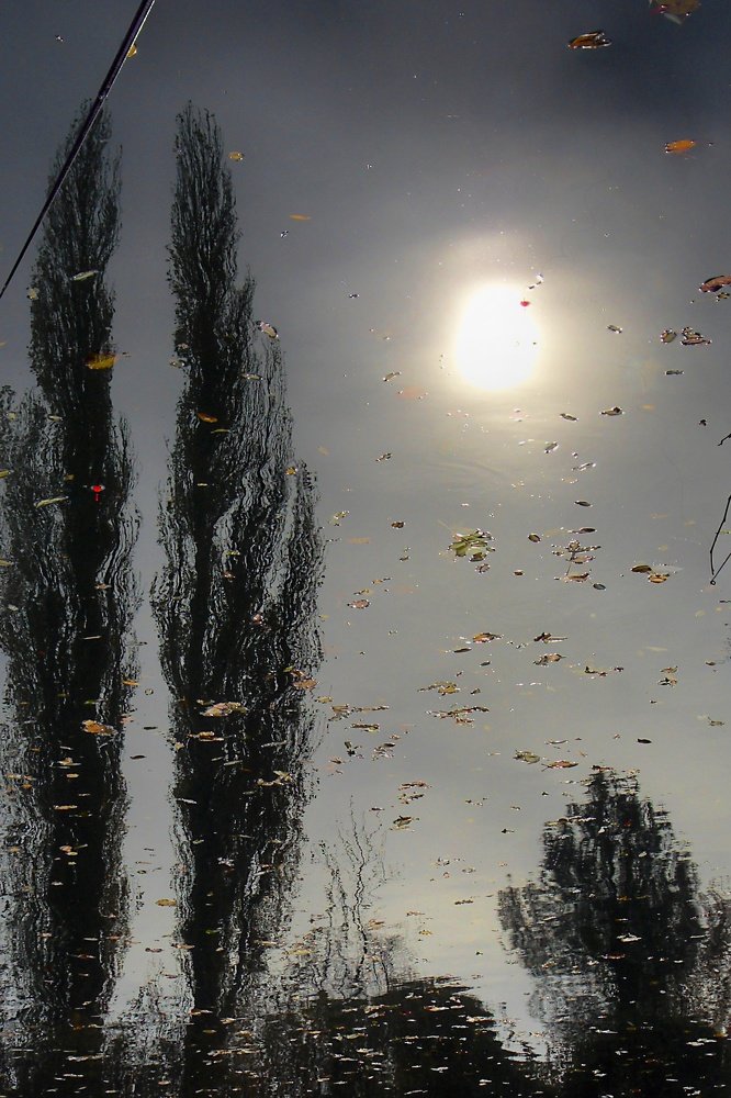 Воспоминания осени