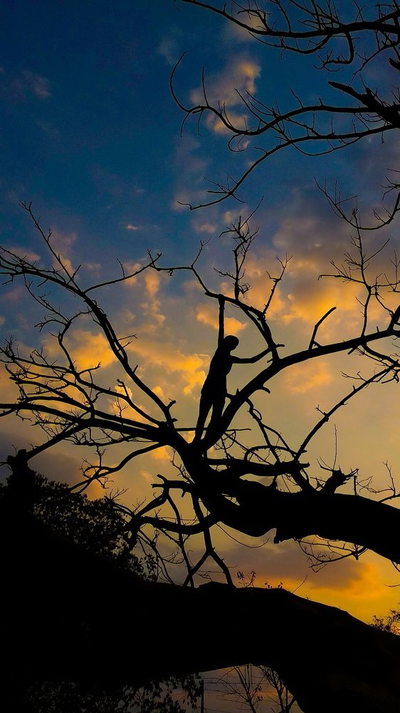 THE CHILDREN PLAY IN EVENING LIGHT