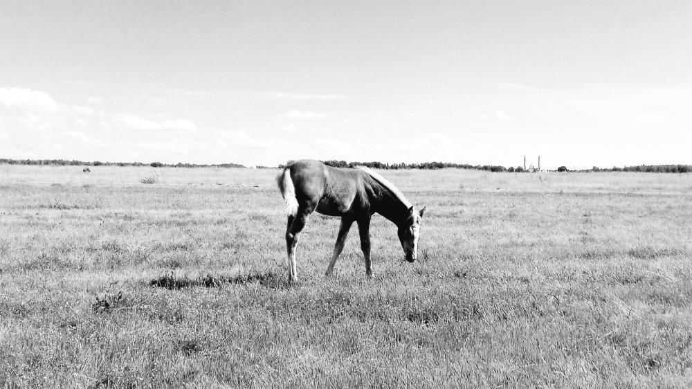 Photograph by Фролова Диляра