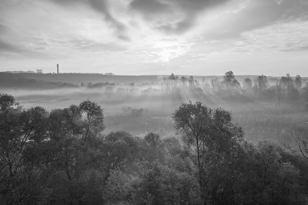 Лучи утреннего солнца и туман..