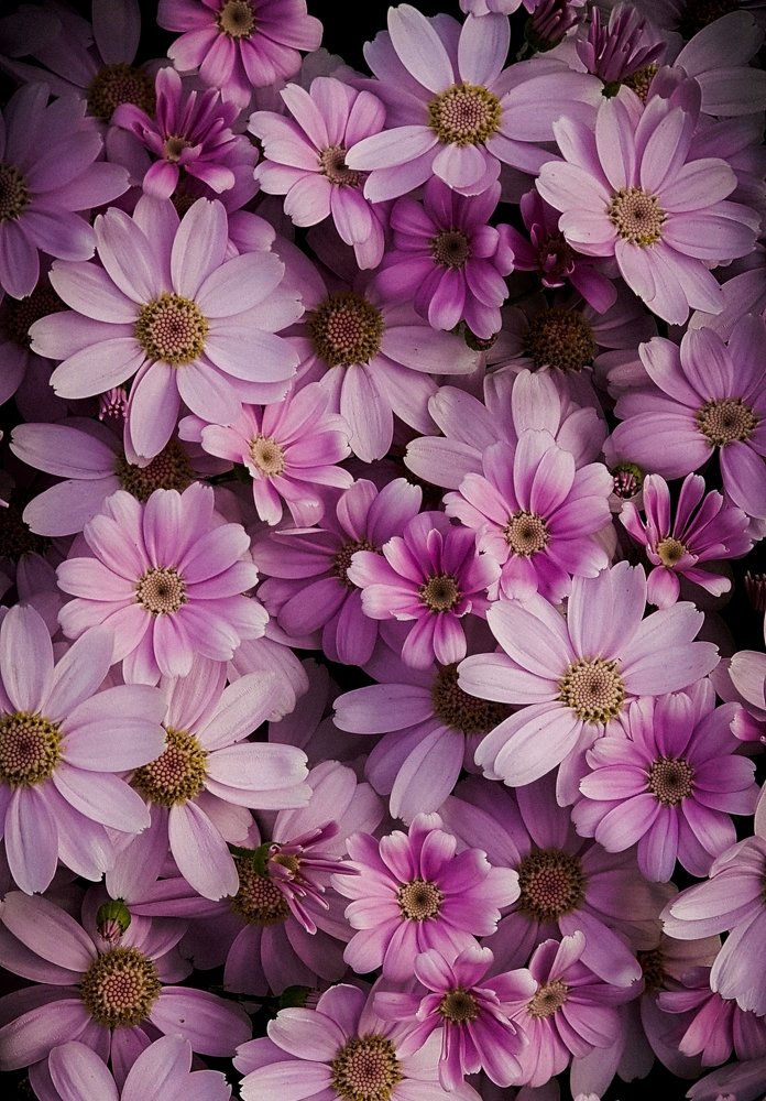 Photograph by Najmeh setayesh nazar