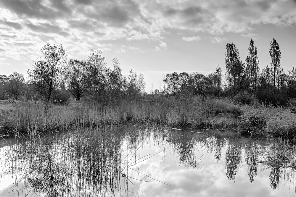 Весеннее утро у воды..