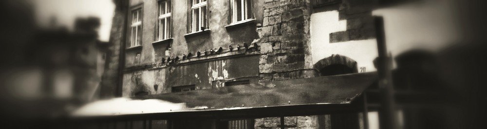 Городской пейзаж... Дождь и голуби.