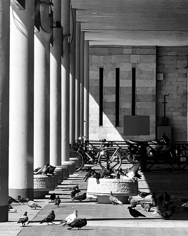 Магия света