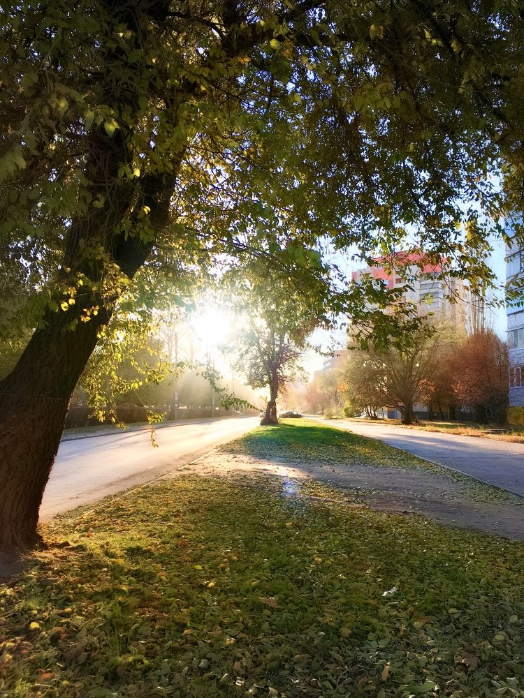 Photograph by Татьяна