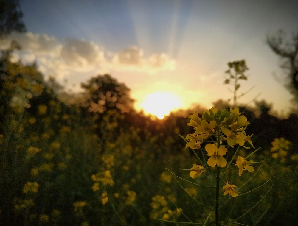 Photograph by Дмитрий Пропастин