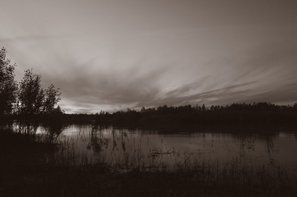 Меланхолия