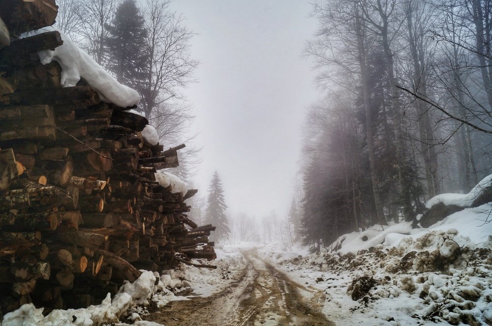 Затеряный мир