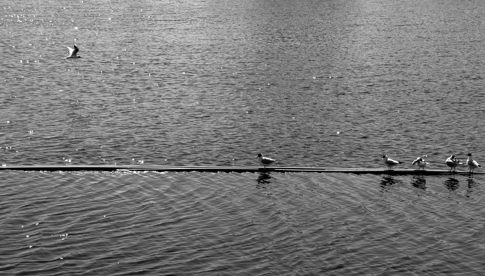 Photograph by Сергей Грато