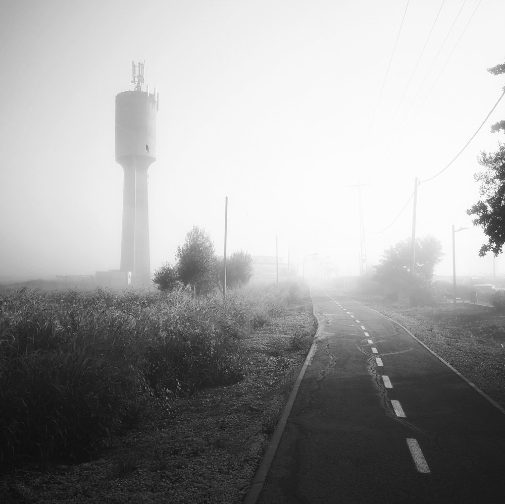 Photograph by Vera Lehem