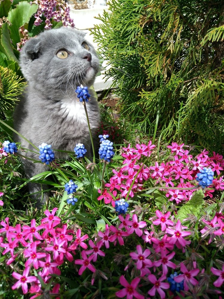 Photograph by Александр Лапшин