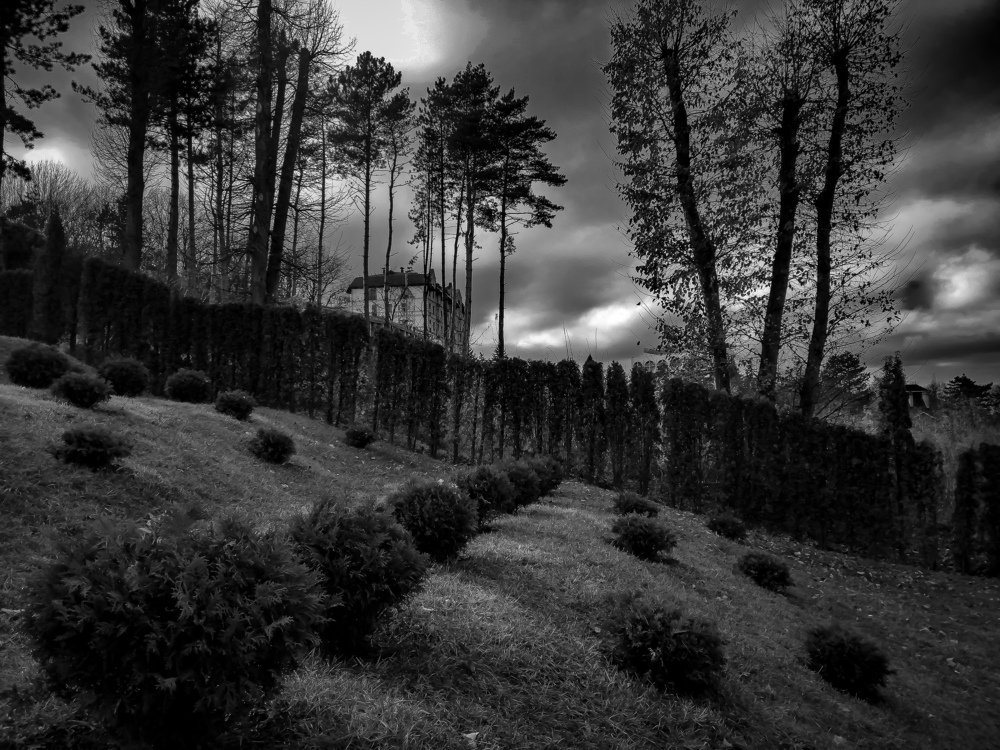 Slow fall with a break for dessert •