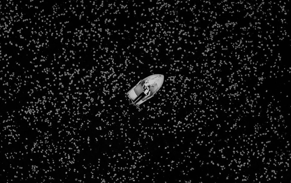 Звёздное небо