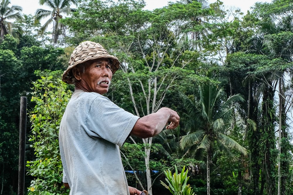 Балийский фермер