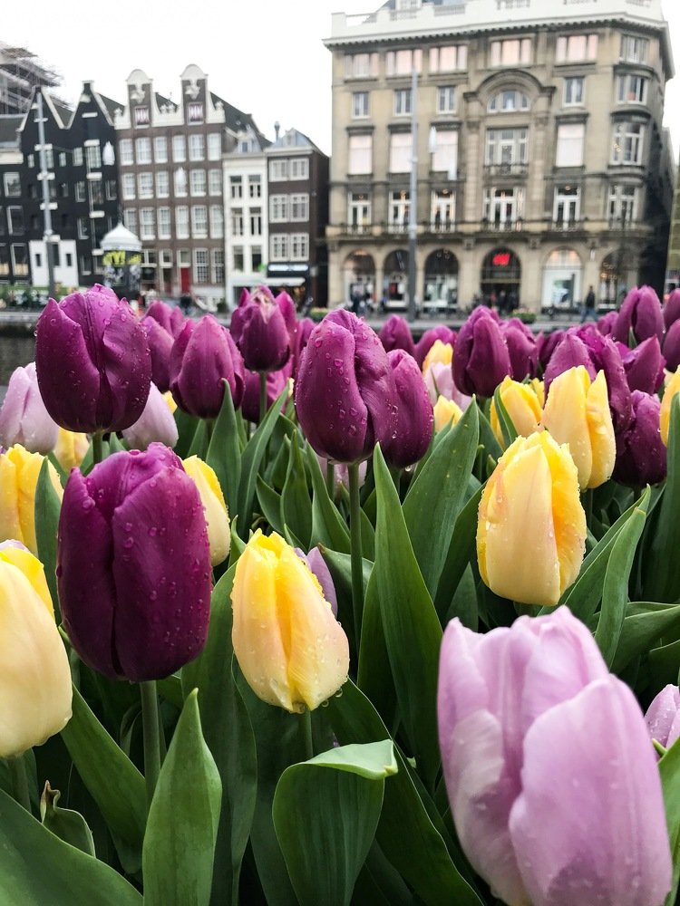 Photograph by Яна Лугинина