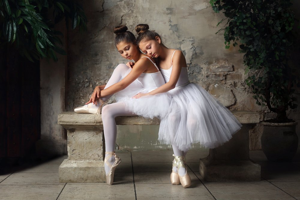 Белые лебеди