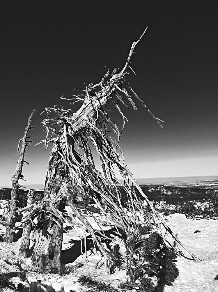 Photograph by Marcin Sokolowski - maarew