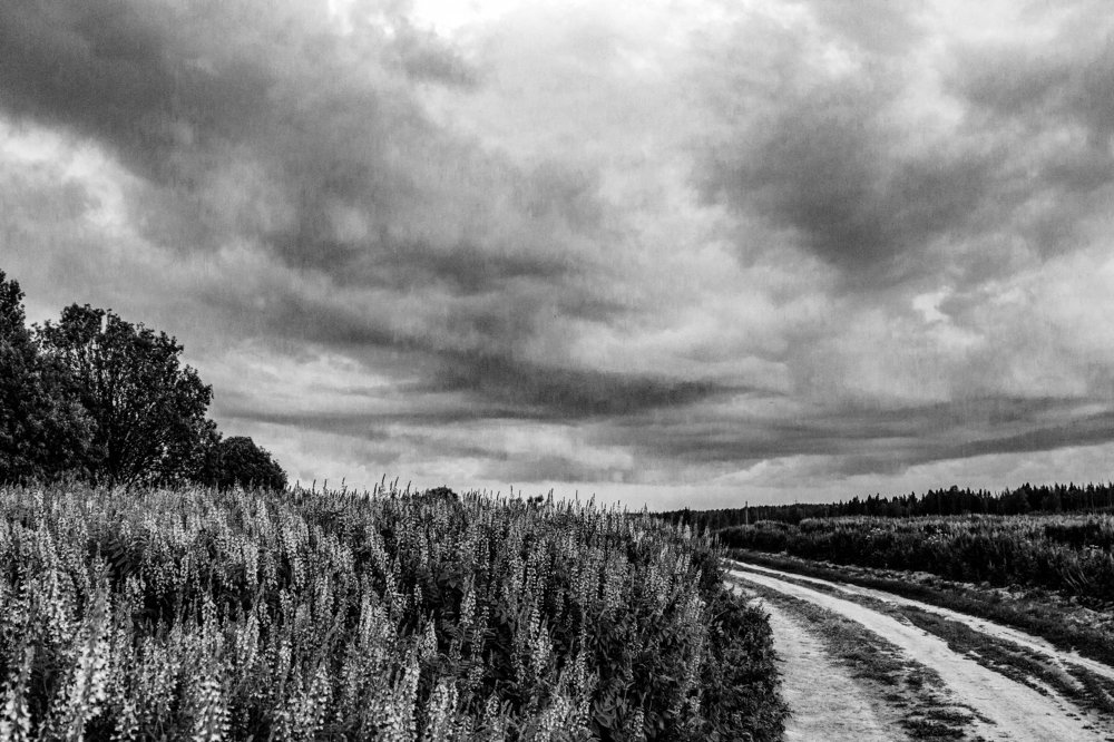 Photograph by Андрей Кульков