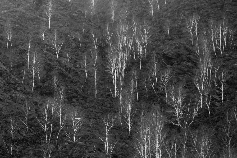 После листопада